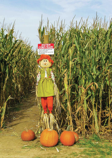 Scarecrow
